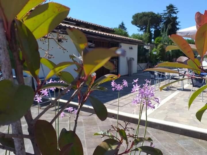 Borgo Nicoletta Case Per Le Vacanze Filandari Екстериор снимка